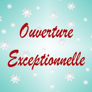 . Nous sommes heureux de vous annoncer que le Patio sera ouvert exceptionnellement les dimanches 11 et 18 décembre de 12h à 14h30 afin que vous en